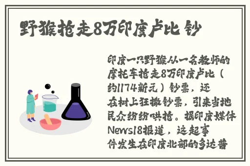 我是苏畅我回来了高清资源在线